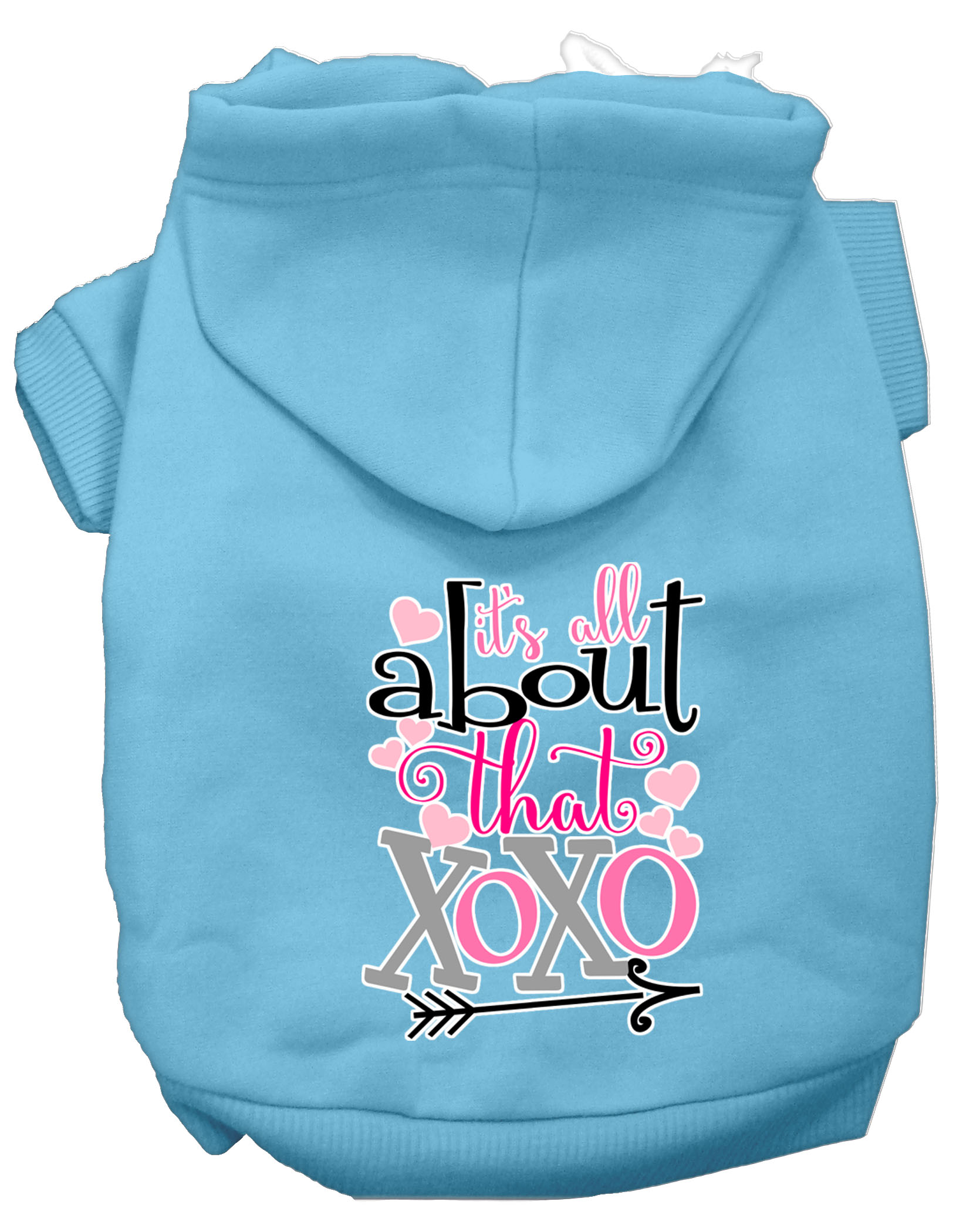 All About that XOXO Screen Print Dog Hoodie Baby Blue XL